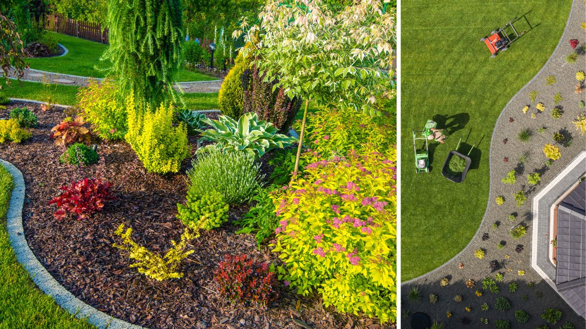 Comment créer un jardin à entretien réduit ?
